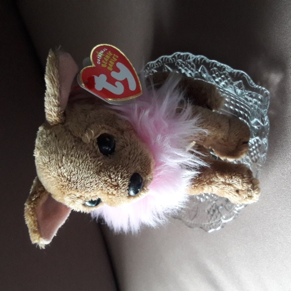 Ty Beanie Baby Divalectable🐻